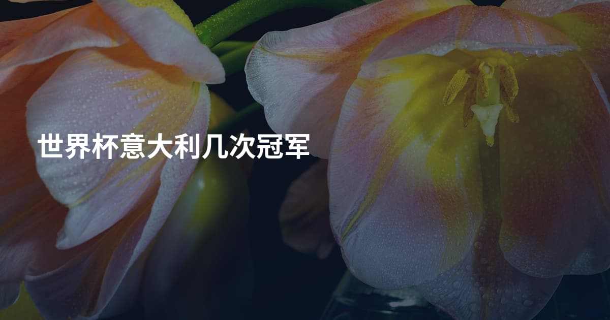 世界杯意大利几次冠军