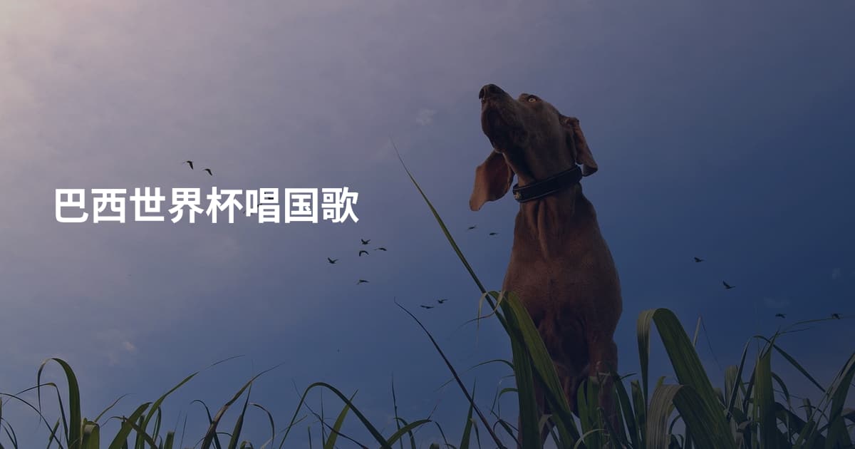 巴西世界杯唱国歌
