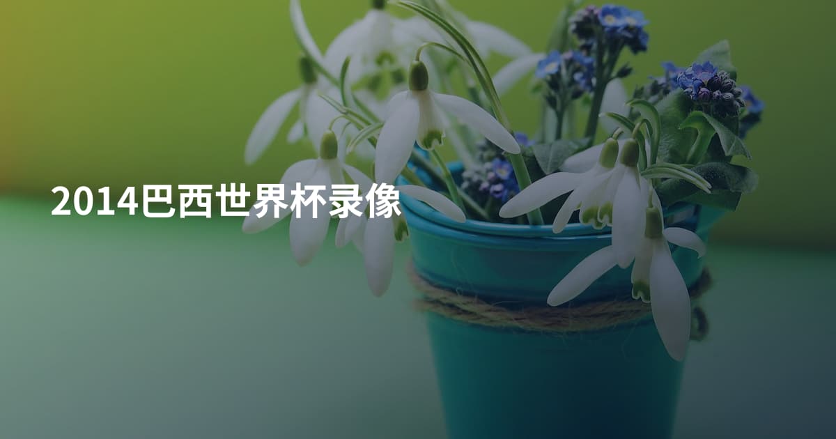 2014巴西世界杯录像