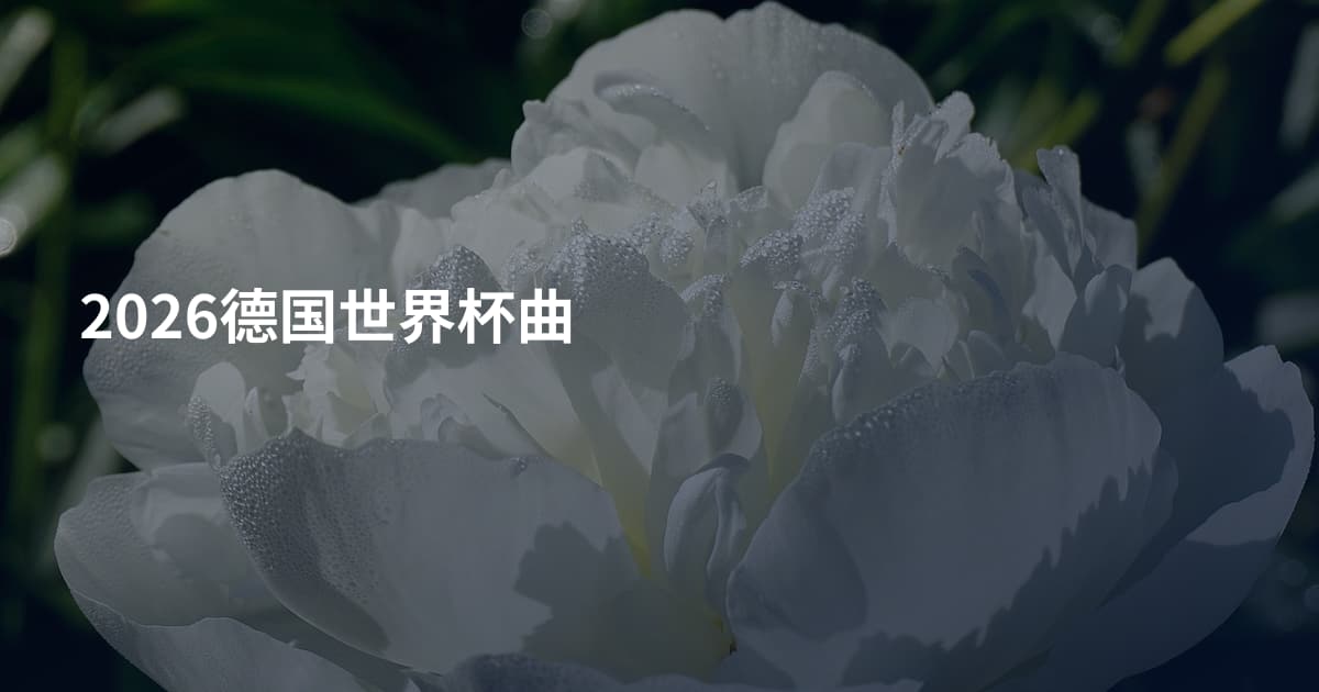 2026德国世界杯曲