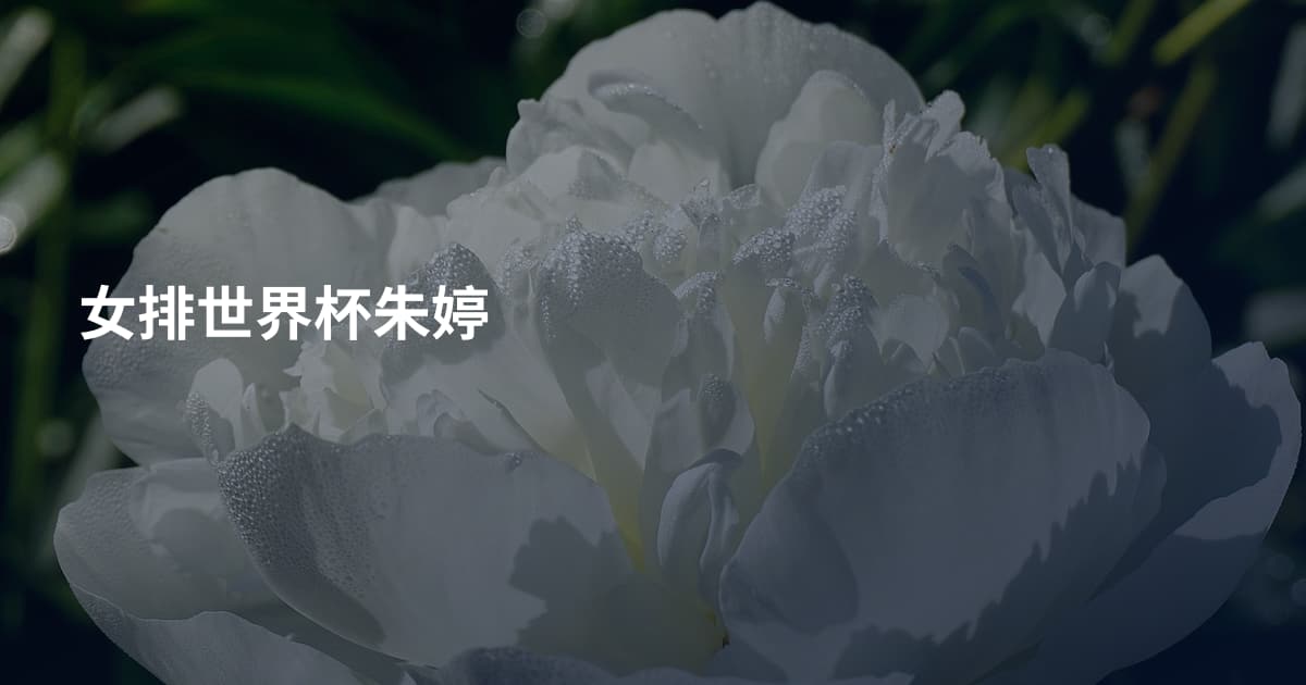 女排世界杯朱婷