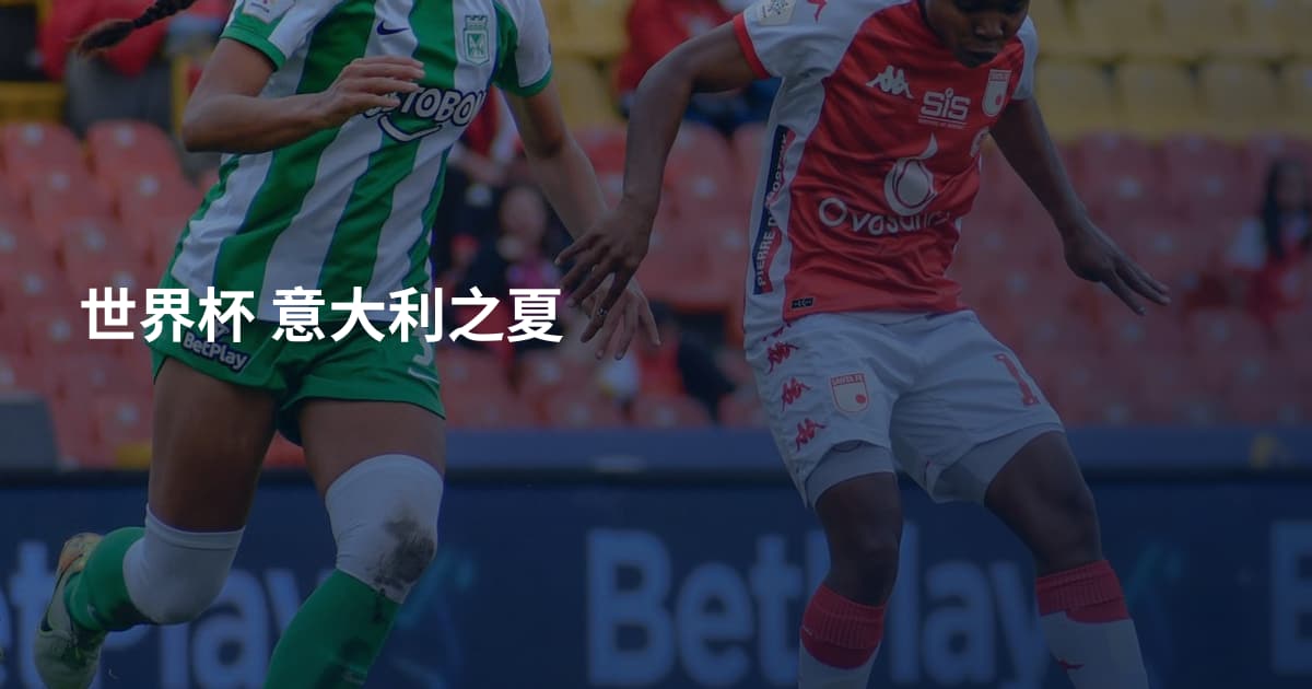 世界杯 意大利之夏