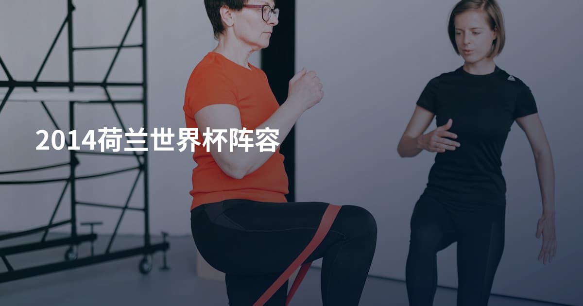 2014荷兰世界杯阵容