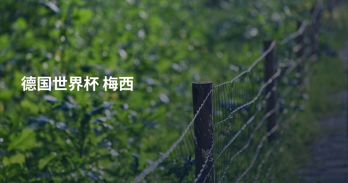 德国世界杯 梅西