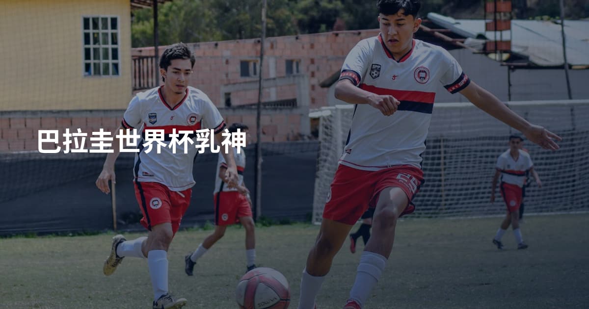 巴拉圭世界杯乳神