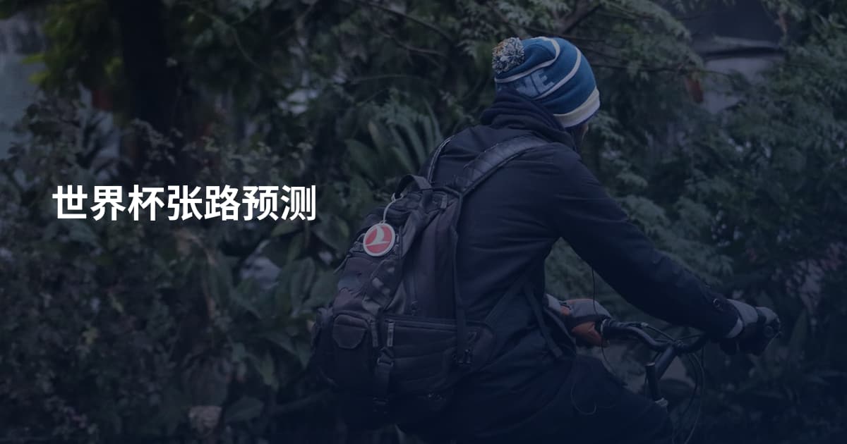 世界杯张路预测