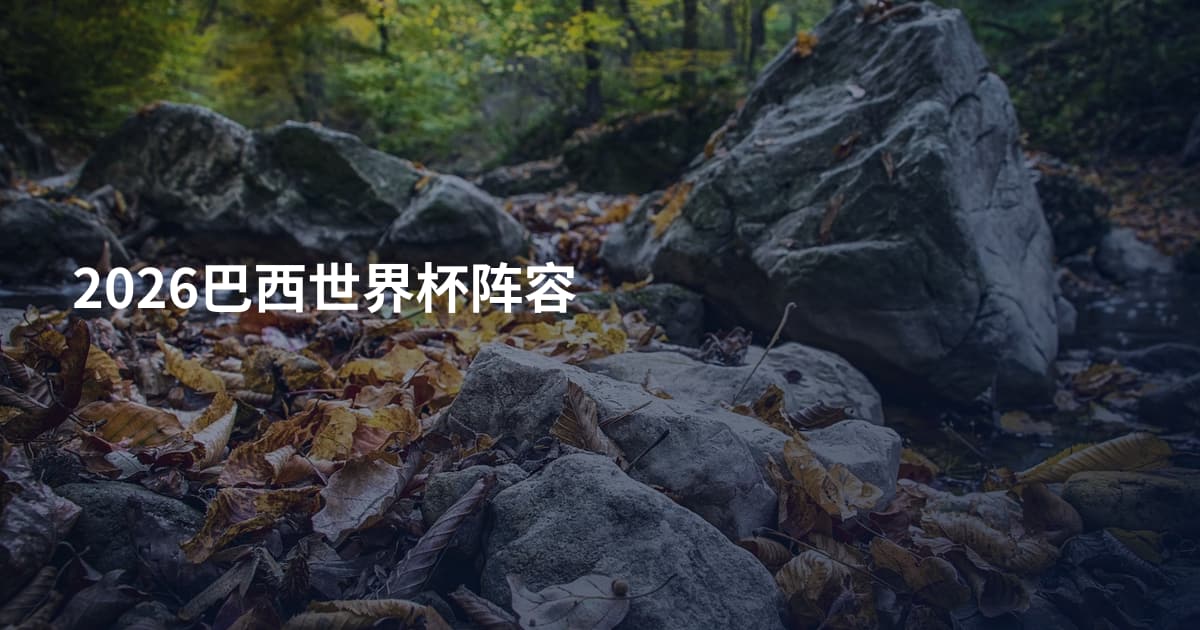 2026巴西世界杯阵容