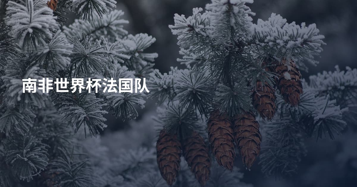 南非世界杯法国队