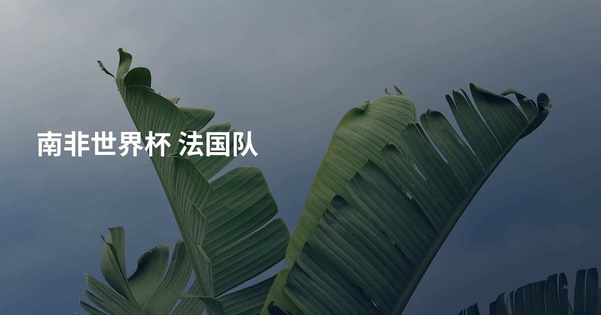南非世界杯 法国队