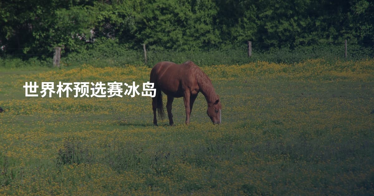 世界杯预选赛冰岛
