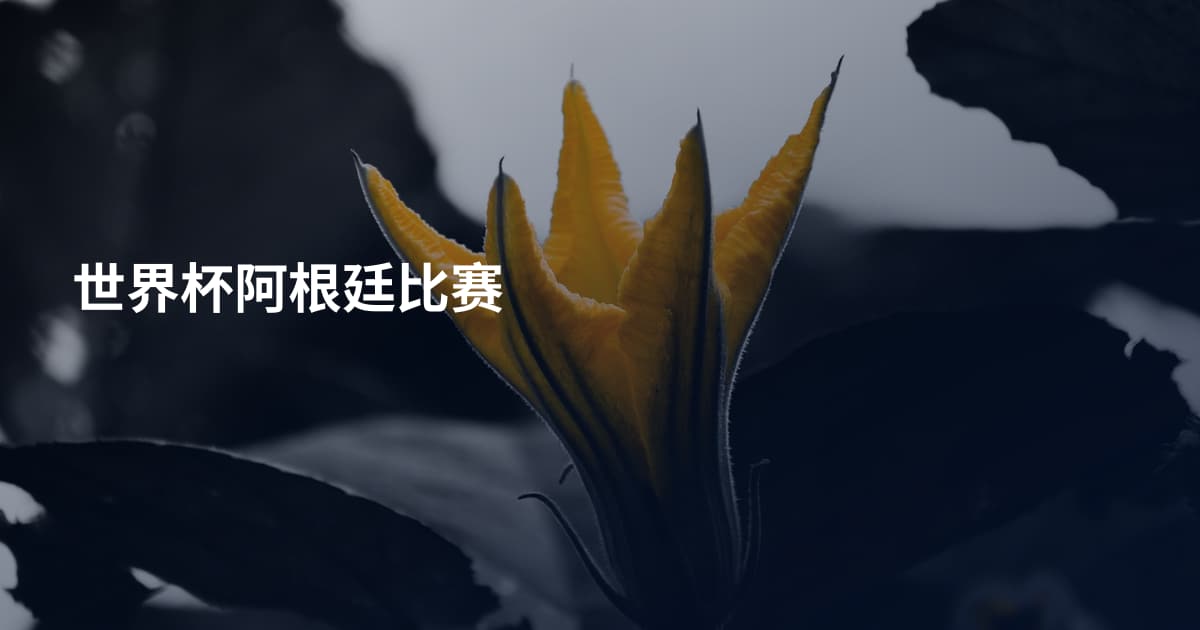 世界杯阿根廷比赛