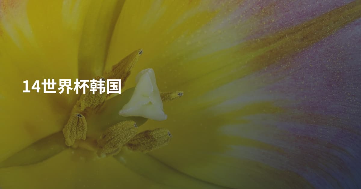 14世界杯韩国