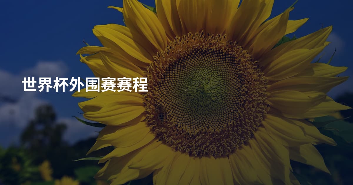 世界杯外围赛赛程
