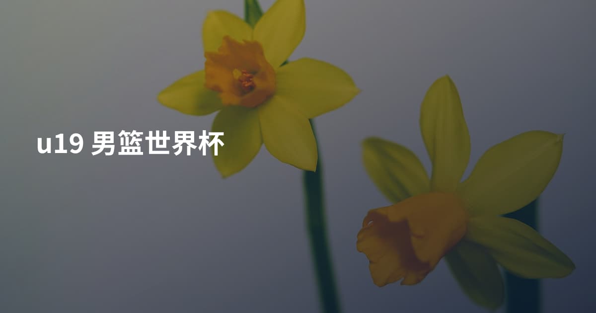 u19 男篮世界杯