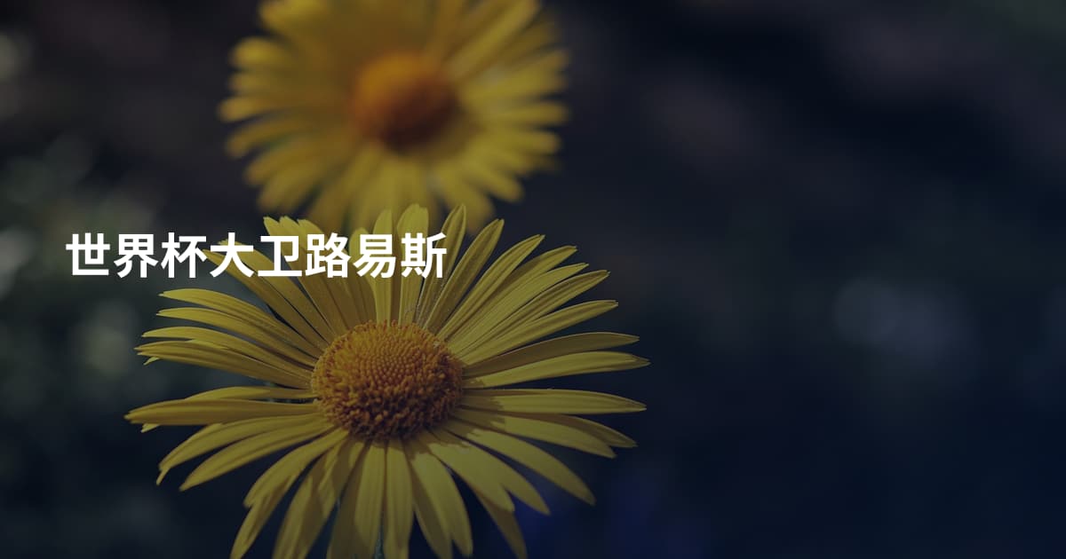 世界杯大卫路易斯