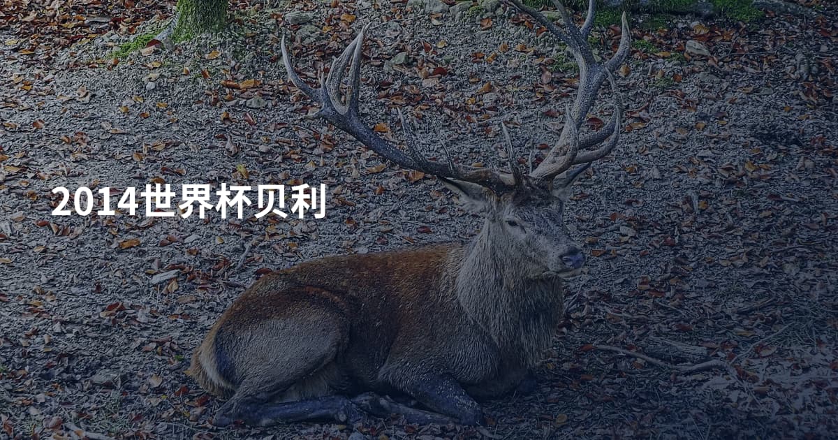 2014世界杯贝利
