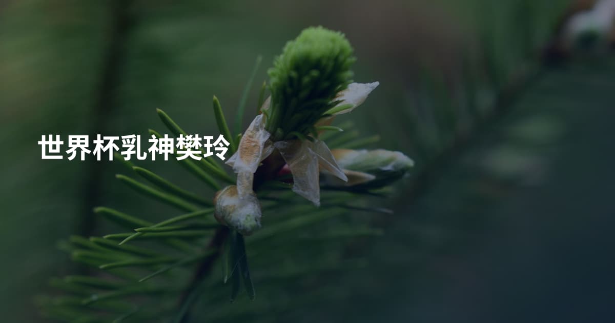 世界杯乳神樊玲