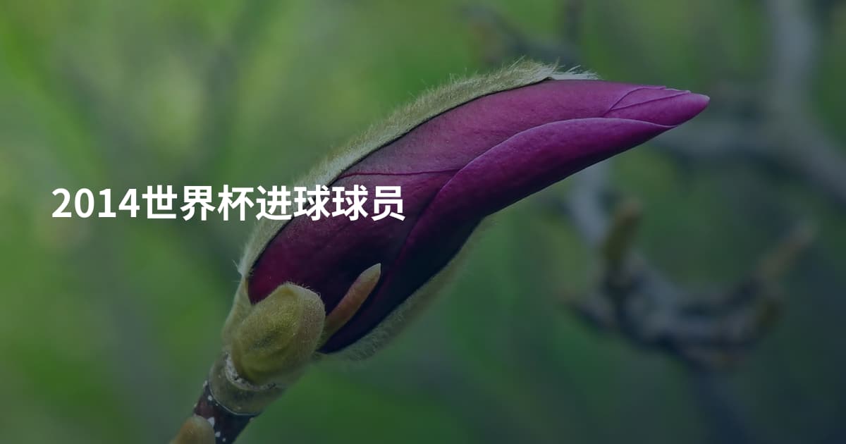 2014世界杯进球球员