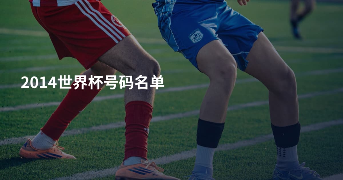 2014世界杯号码名单