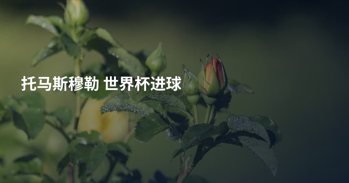 托马斯穆勒 世界杯进球
