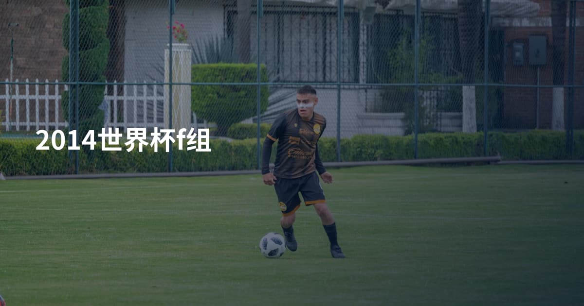 2014世界杯f组