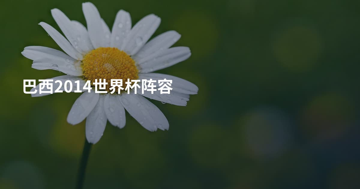 巴西2014世界杯阵容