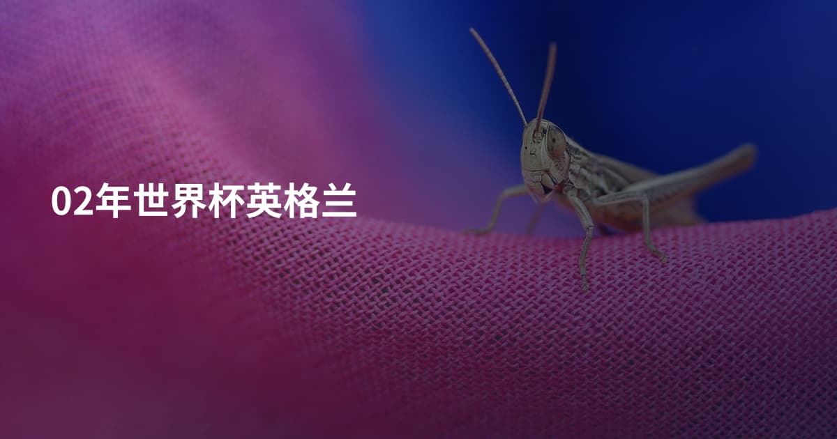 02年世界杯英格兰