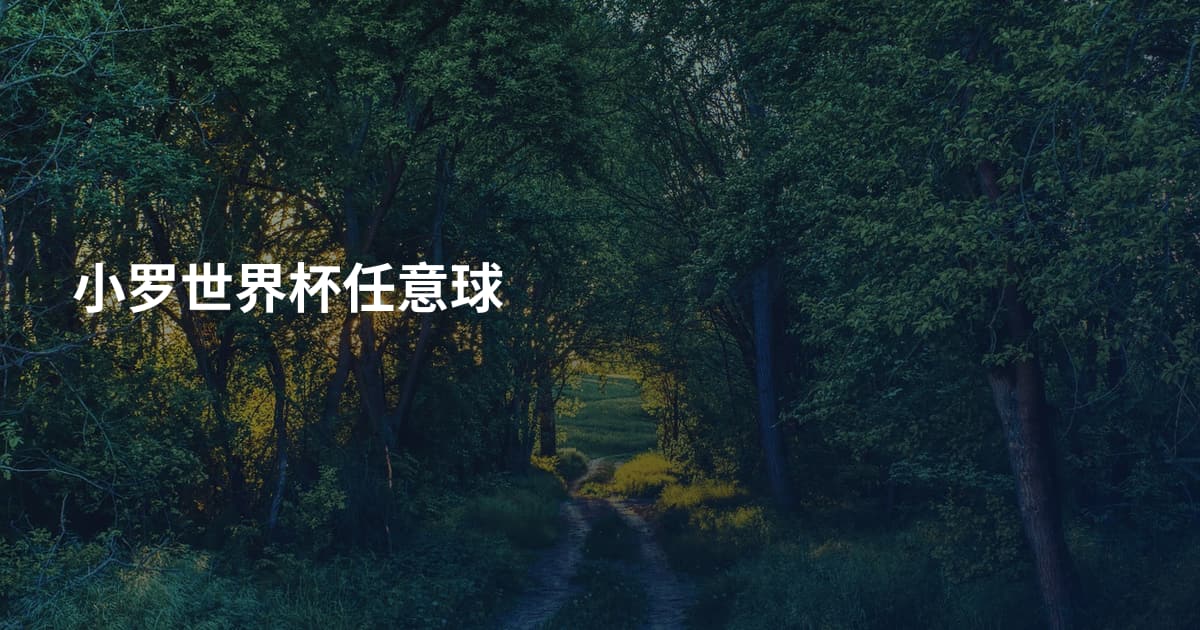小罗世界杯任意球