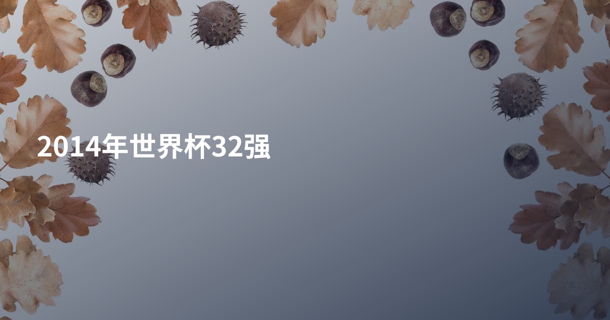 2014年世界杯32强