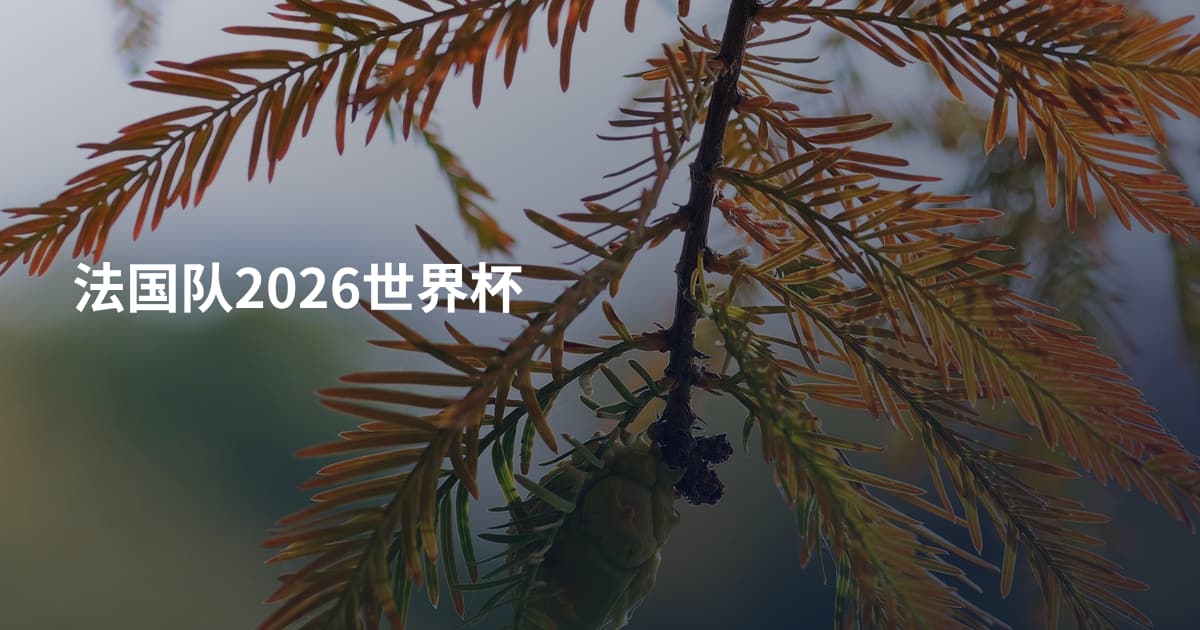 法国队2026世界杯