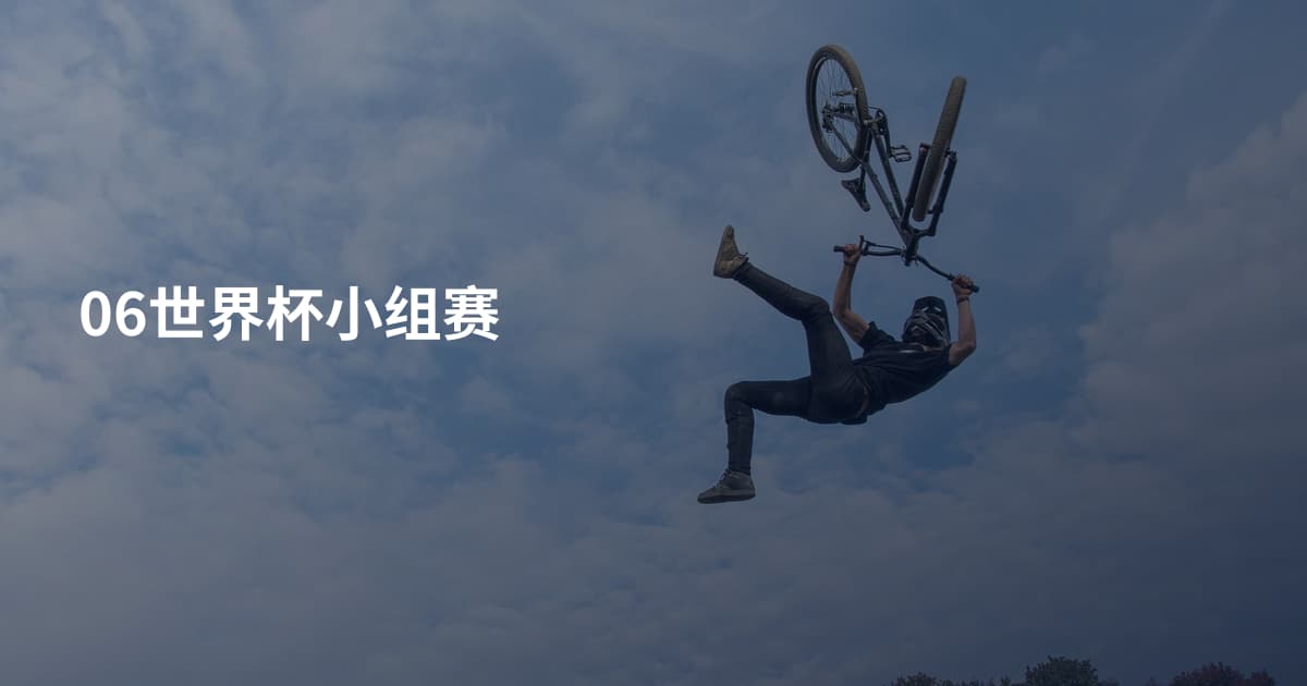 06世界杯小组赛