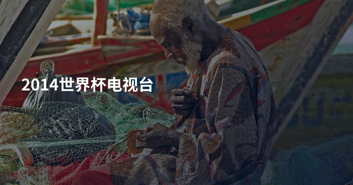 2014世界杯电视台