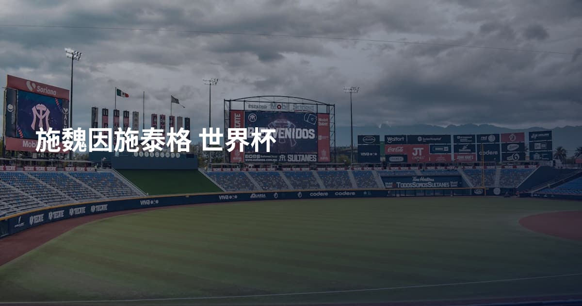 施魏因施泰格 世界杯