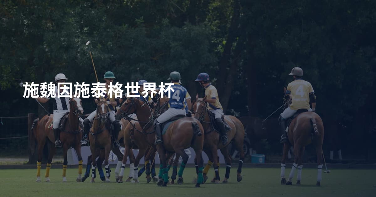 施魏因施泰格世界杯