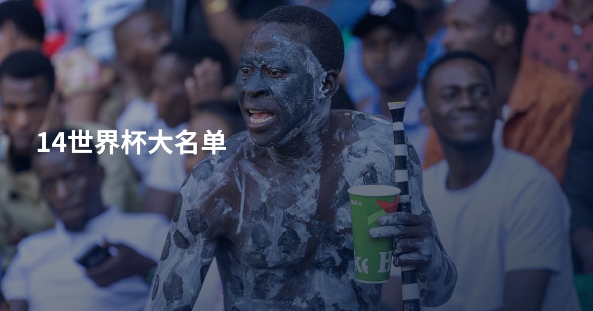 14世界杯大名单