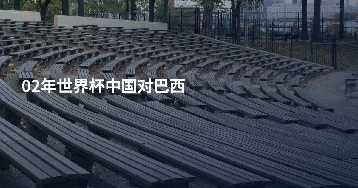 02年世界杯中国对巴西