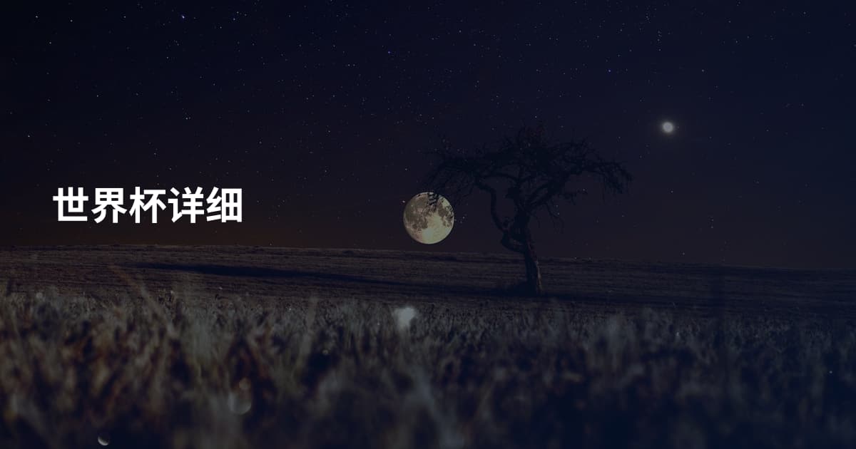 世界杯详细