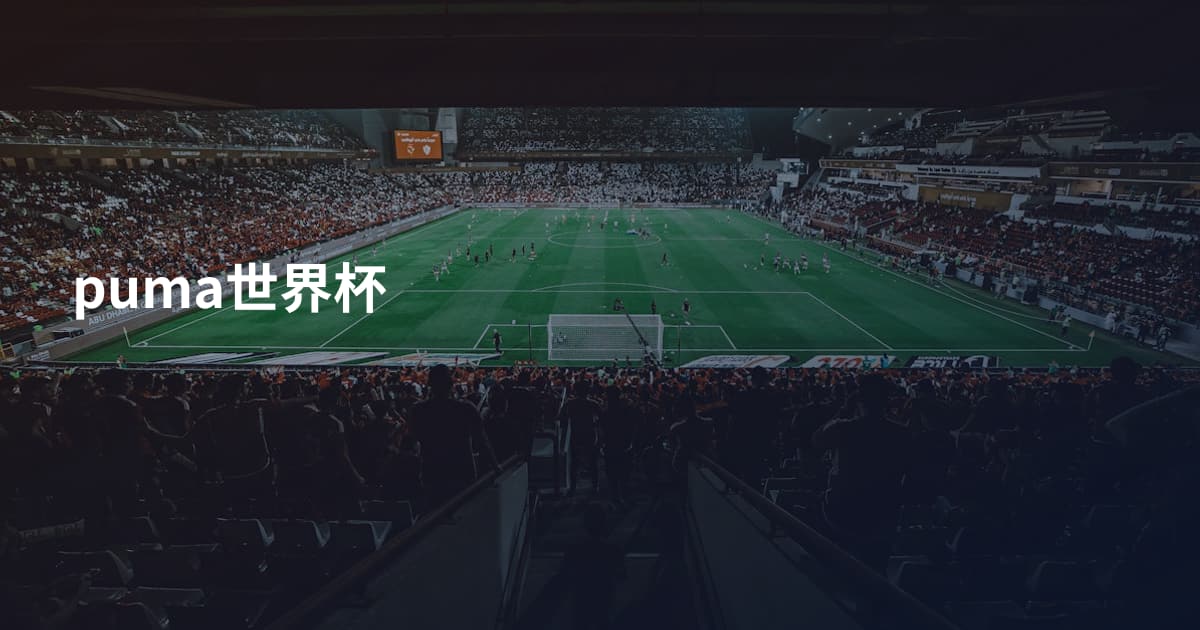 puma世界杯