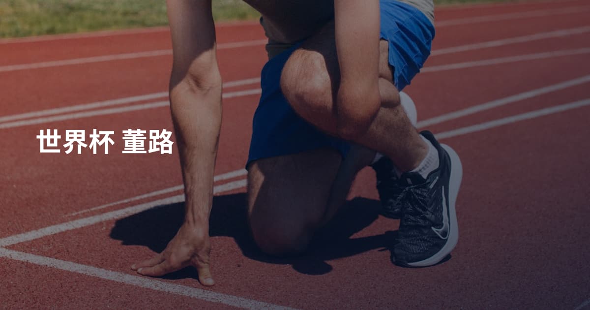 世界杯  董路