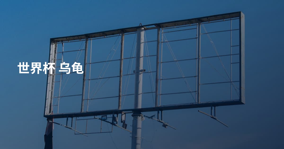 世界杯 乌龟