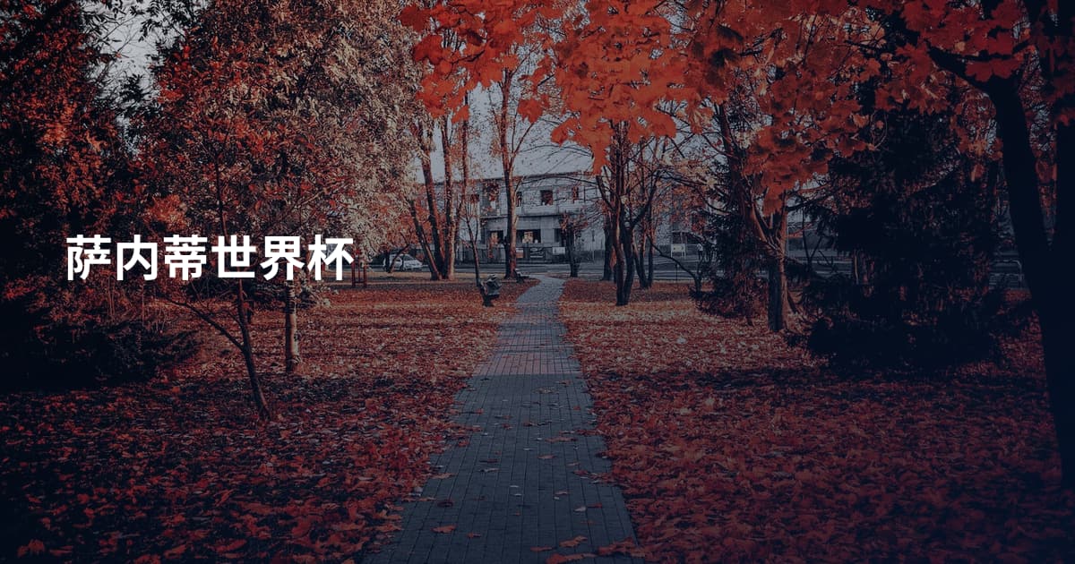 萨内蒂世界杯