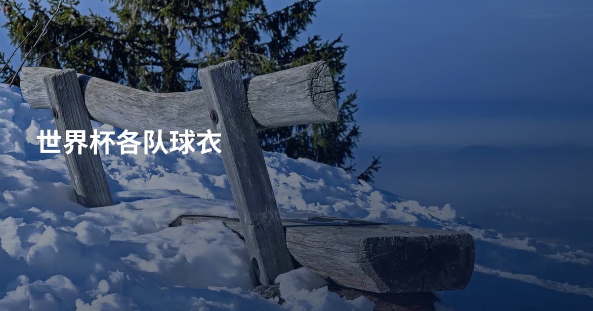 世界杯各队球衣