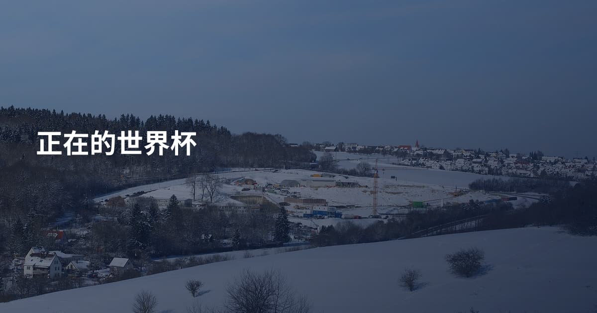 正在的世界杯