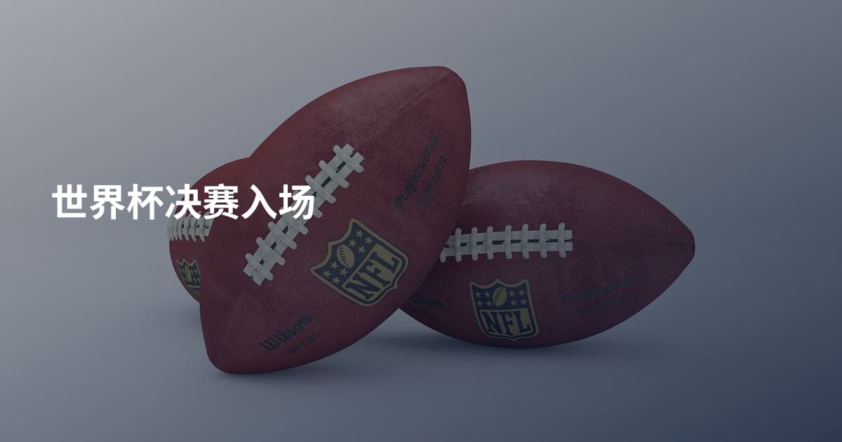 世界杯决赛入场