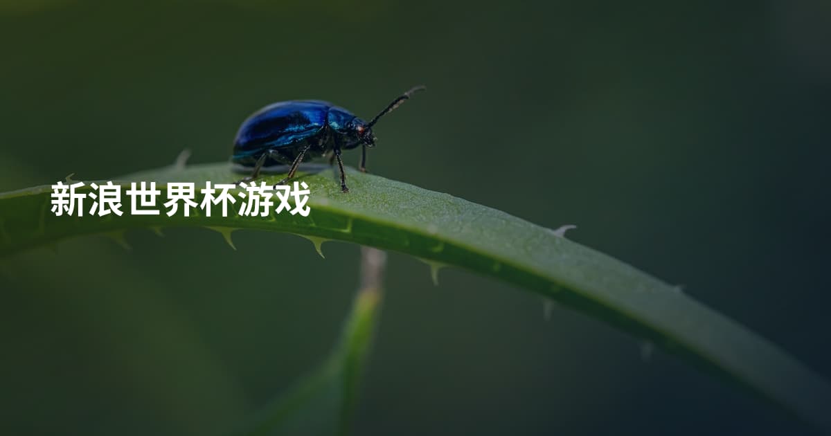 新浪世界杯游戏