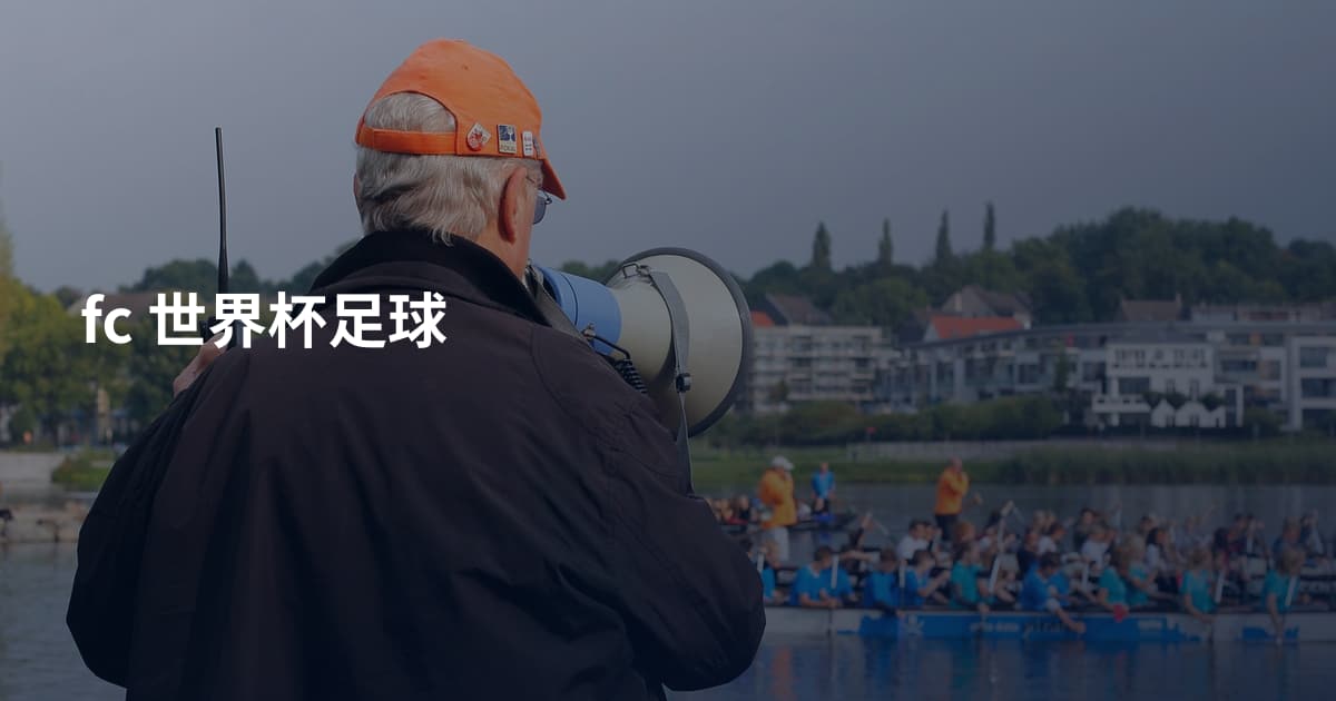 fc 世界杯足球