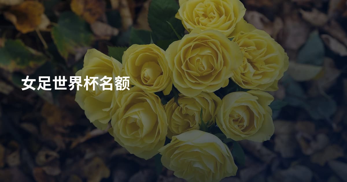 女足世界杯名额