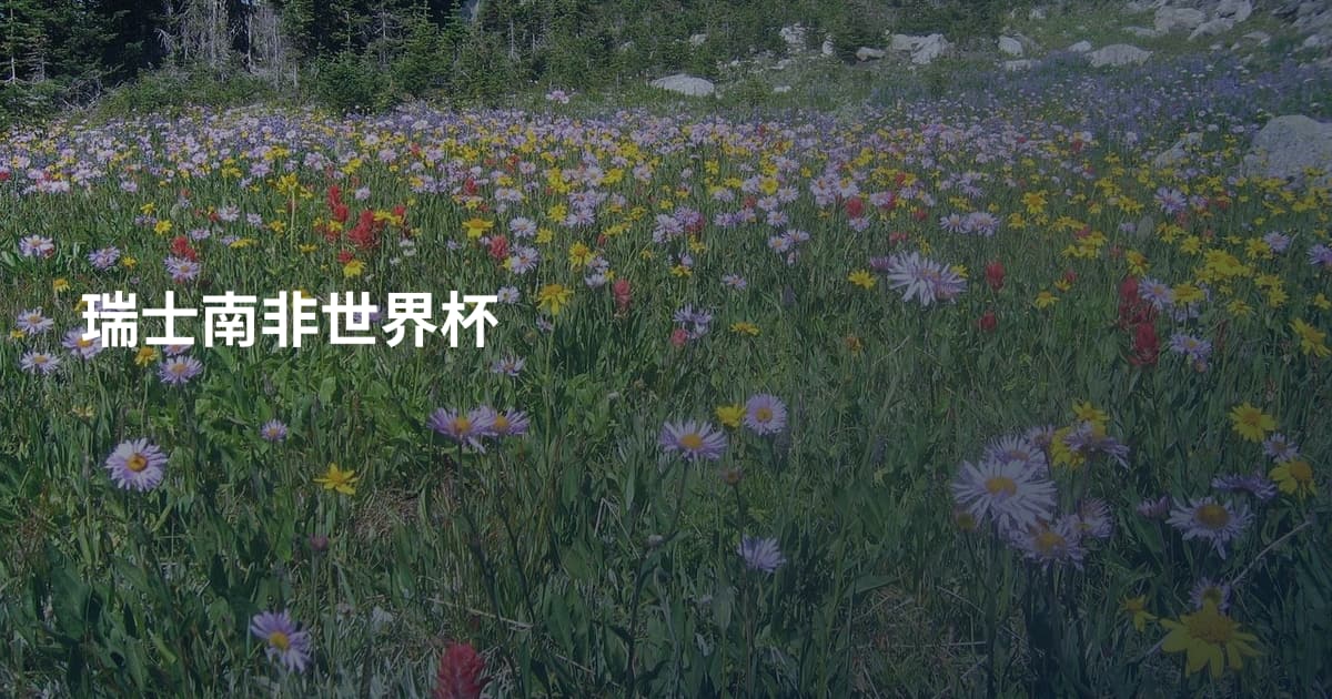 瑞士南非世界杯