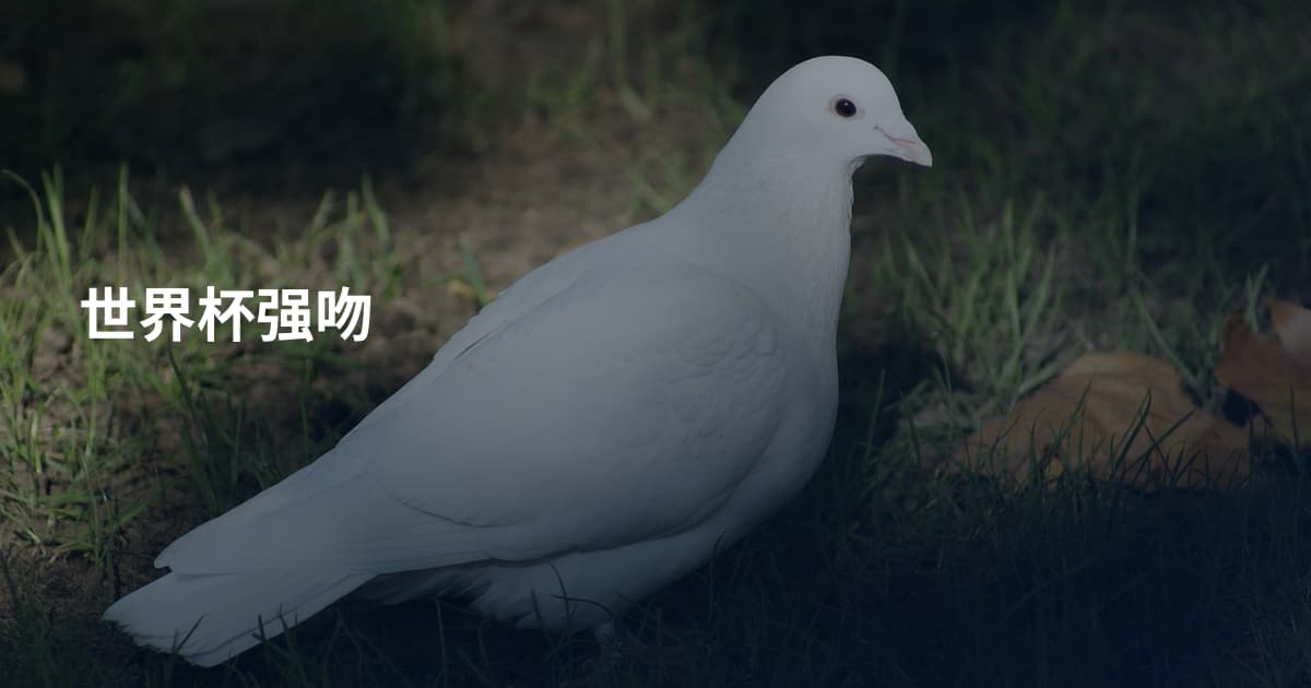 世界杯强吻