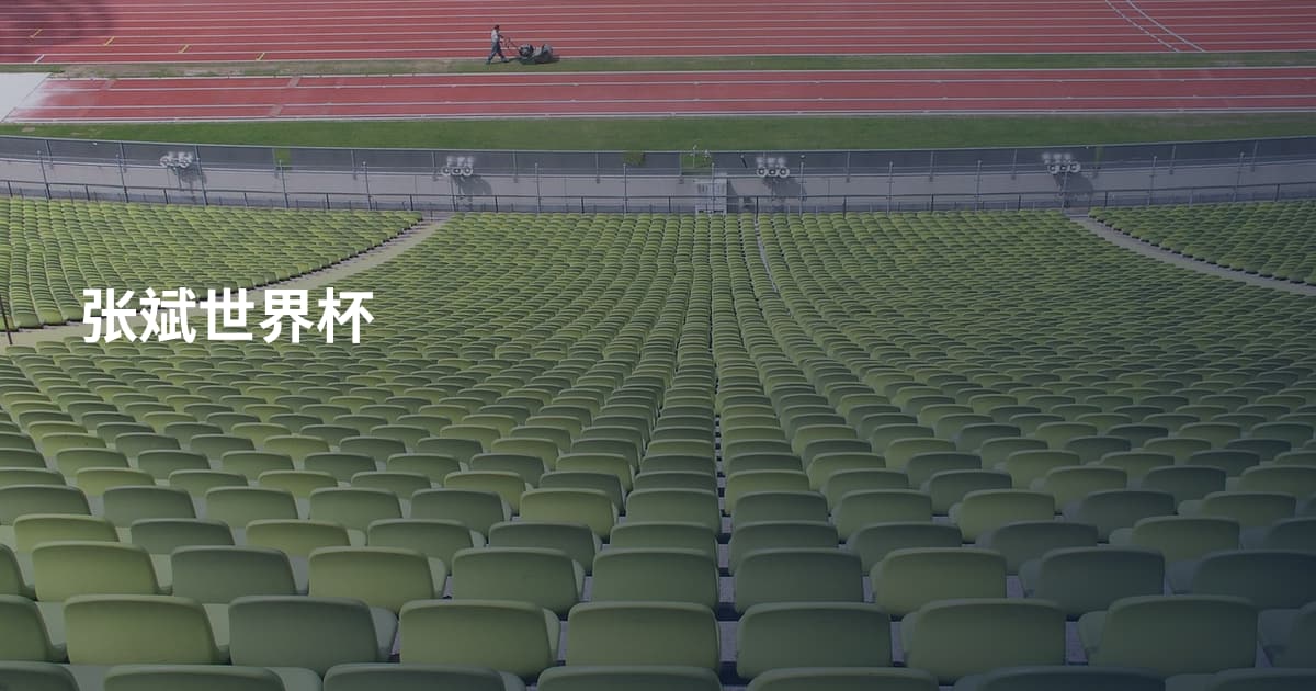张斌世界杯